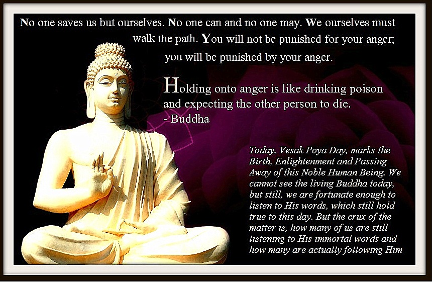 Buddha-quote-on-anger-image-HD-download